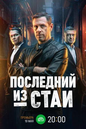 Последний из стаи 1 сезон онлайн